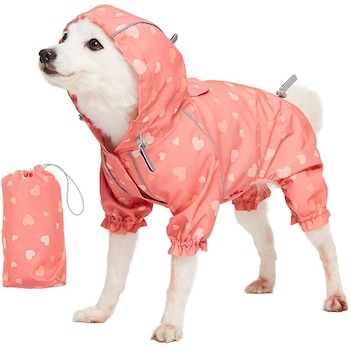 E-Comm: Just 21 Cute Things to Celebrate National Puppy Day